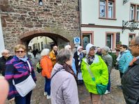 2024-10-18 - Wertheim (1)